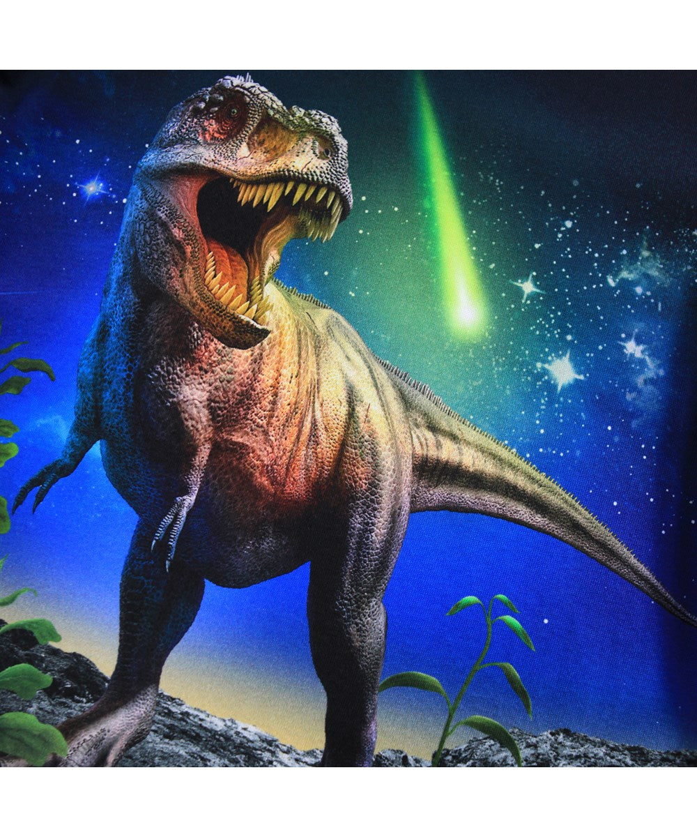Reif Long Sleeve - Meteor Dino