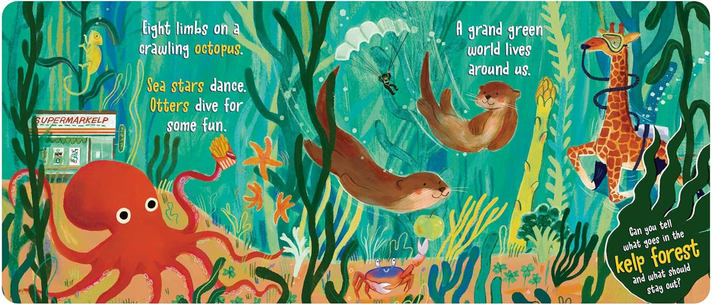 What Goes in the Ocean?