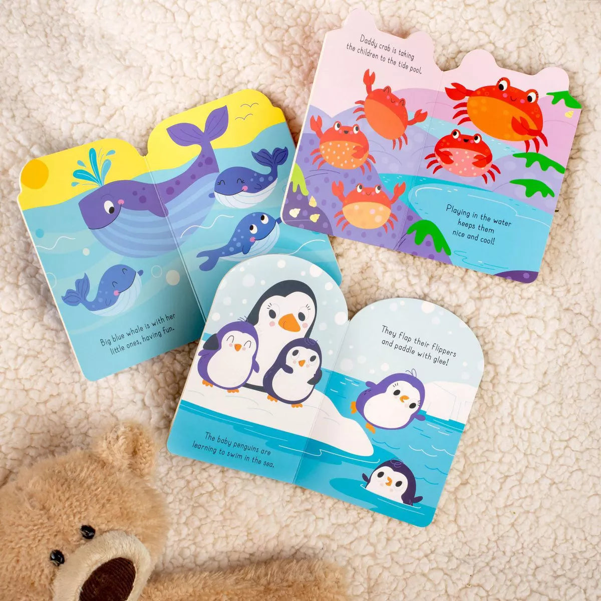 Animal Families: Under the Sea