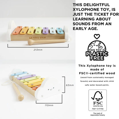 Rainbow Wooden Xylophone