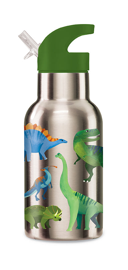 Dino World Stainless Steel Water Bottle