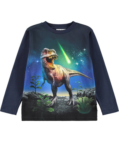 Reif Long Sleeve - Meteor Dino