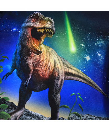 Reif Long Sleeve - Meteor Dino