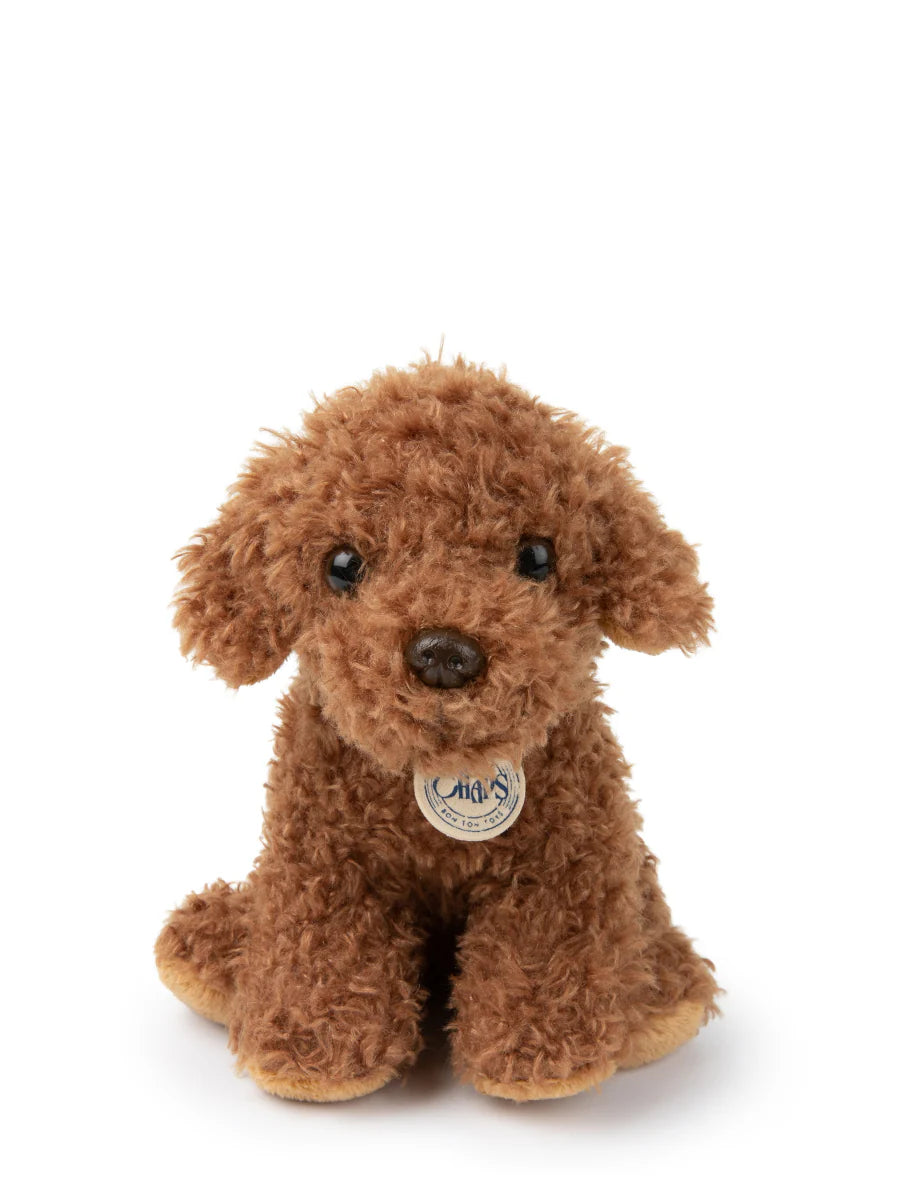 Plush BT CHAPS Stacy The Labradoodle in Giftbox 6.5"