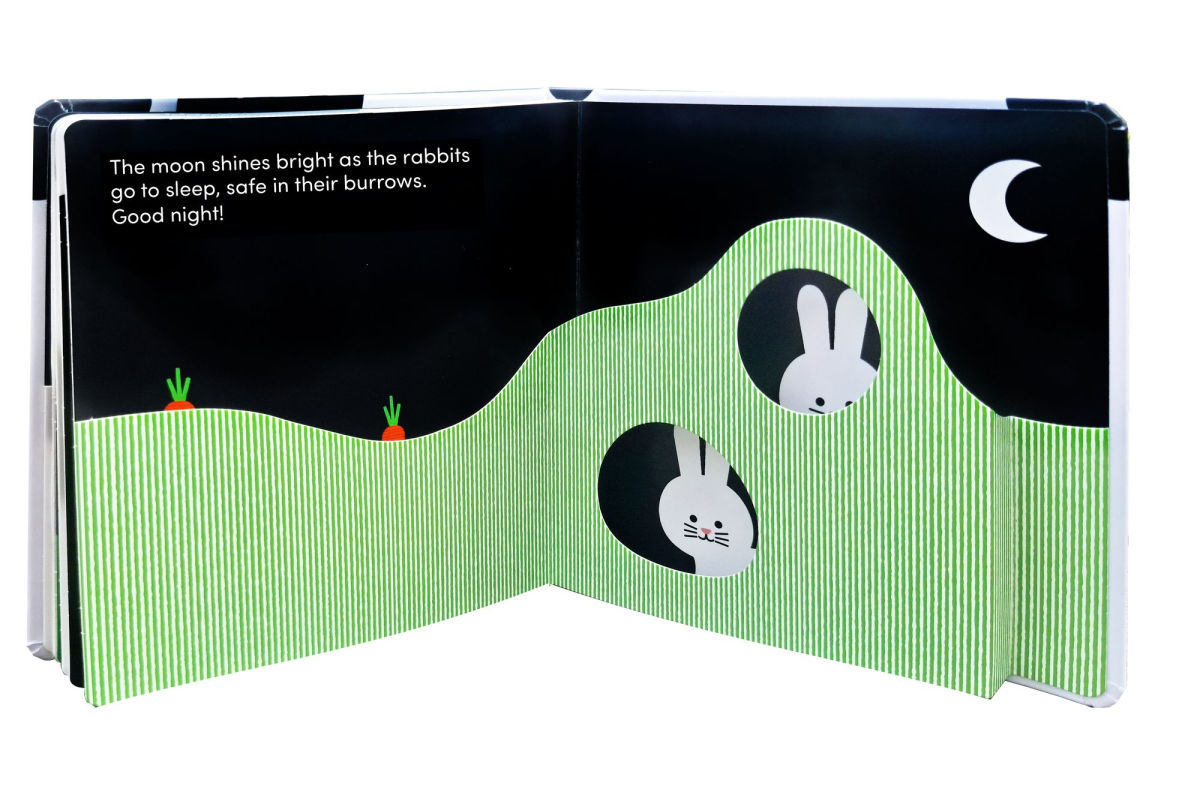 Baby Basics: Animals at Home