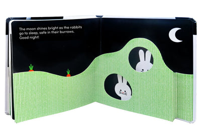 Baby Basics: Animals at Home