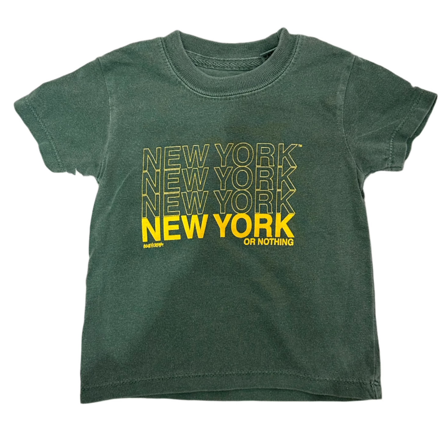 New York or Nothing T-Shirt