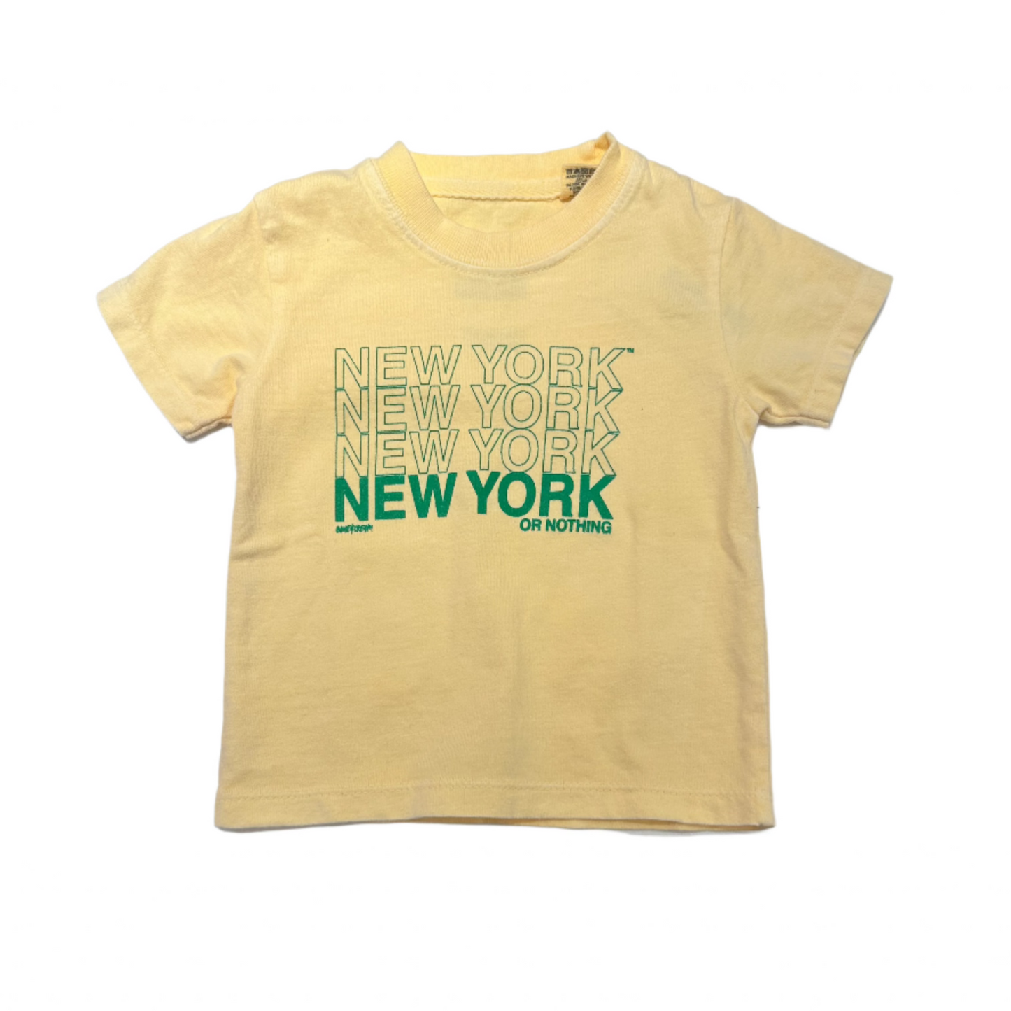 New York or Nothing T-Shirt