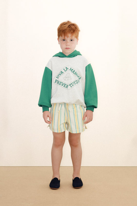 Multicolor Stripes Shorts