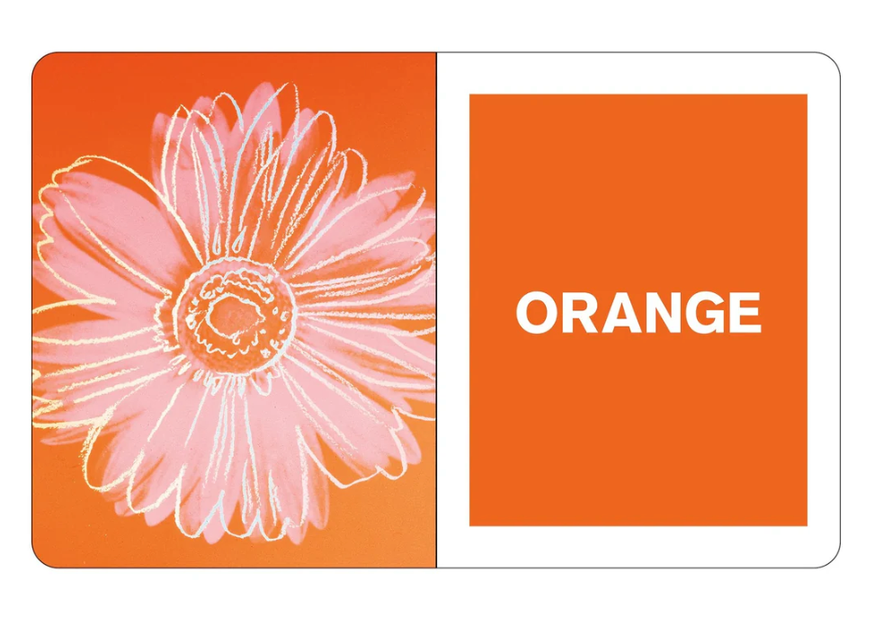 Andy Warhol What Colors Do You See?