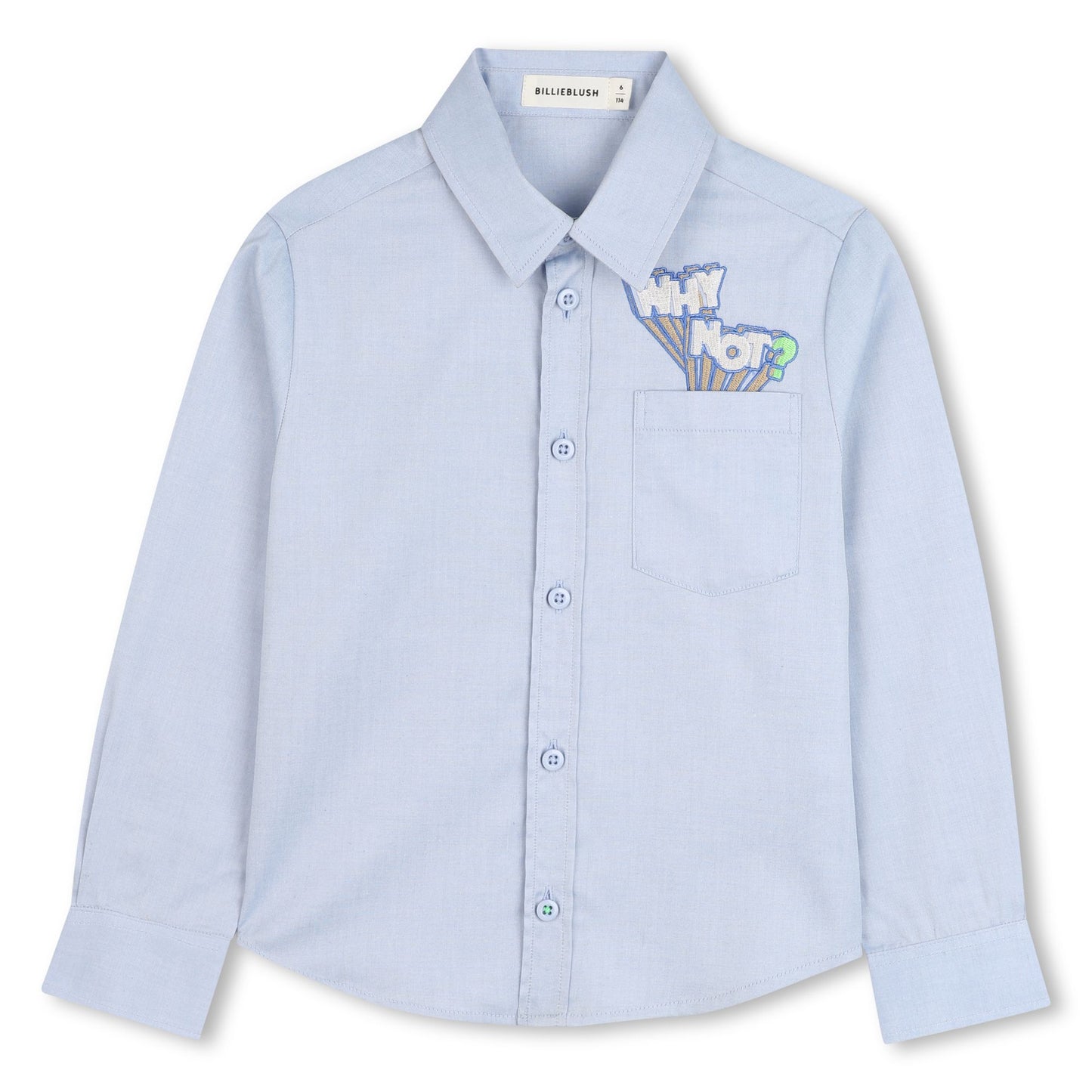 Boys Why Not Button Down Shirt-Pale Blue