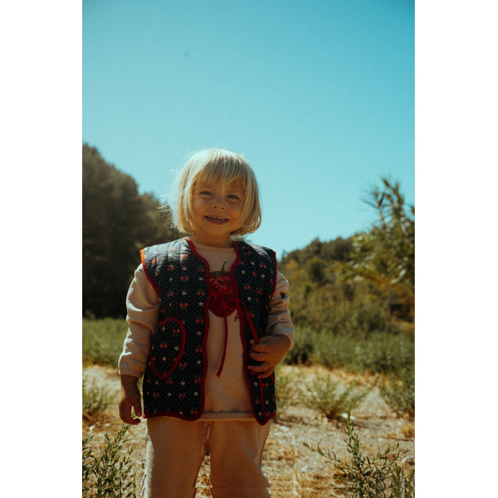 Vida Berry Sweater - Acorn