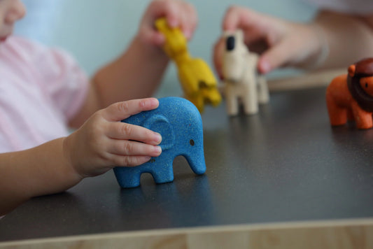 Wild Animals Play Set